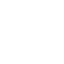 alloy